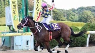 【オーバルスプリント】シャマルは8枠11番へ
