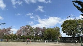 「第40回むさしの村チェリージュニアテニストーナメント」16歳以下男女シングルス優勝者が決定＜大会最終日の結果＆写真＞