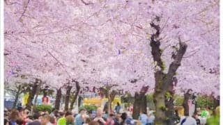 日本人の体質と酒量のバランス