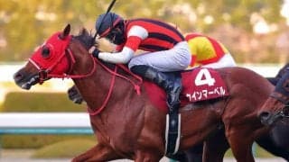 【阪急杯登録馬】ウインマーベルなど19頭