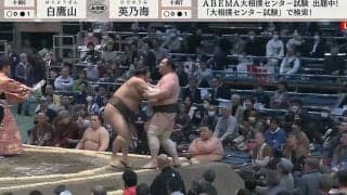 ベテラン力士、土俵下に落下しそうな相手をかばう咄嗟の気遣い「抱き寄せた」「気持ちが温かくなるね」ファンほっこり