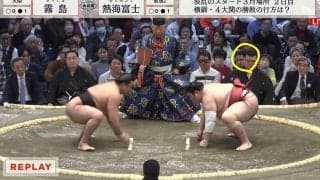 タッチペン解説で元関脇・豊ノ島がまさかの親方いじり 視聴者爆笑「着目点はそこ？」「言わんでええねんw」「仲良いからね～」