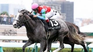 阪神大賞典は「ステイゴールド系」が強い　天皇賞・春のステップレースは格下馬に期待