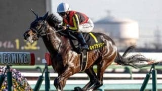 【ニュージーランドT枠順確定】キャプテンシーは6枠11番、ボンドガールは2枠3番