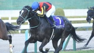 【桜花賞前日オッズ】アスコリピチェーノが3.5倍で1番人気