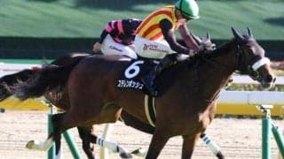 阪神芝外回りは差しOK ステレンボッシュ＆モレイラ騎手が軸に最適だ