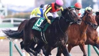 霜降り明星・粗品は桜花賞で3連複2頭軸の8点勝負 「1着固定はできかねる」