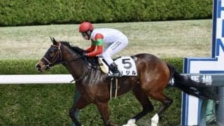 【阪神5R】リジルが2勝目…3馬身差完勝