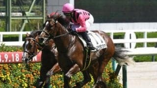 【アーリントンC出走馬・騎手確定】ディスペランツァ＆J.モレイラ騎手、ジュンヴァンケット＆岩田望来騎手など16頭