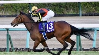 【皐月賞】出走馬の調教後の馬体重