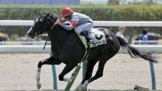 【福島5R】小林美駒騎手が今年6勝目…断然人気カリーシでV