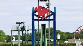 【中山GJ】イロゴトシが連覇…断然人気マイネルグロンは6着