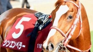霜降り明星・粗品が皐月賞で馬連5点勝負 「中山2000mで大崩れするイメージがない」