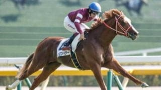 【皐月賞予想】各路線から有力馬が集結 “最も速い馬”はどの馬か？