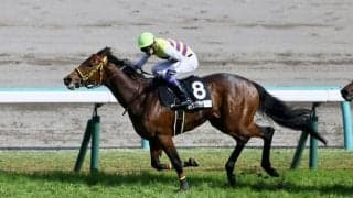 【ドゥラメンテC】武豊、変幻自在の逃げでセイウンプラチナを勝利に導く…千葉直人厩舎初勝利