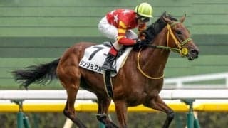 【福島牝馬S枠順確定】シンリョクカは8枠15番、コスタボニータは1枠1番