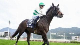 【マイラーズC枠順確定】ソウルラッシュは7枠14番、セリフォスは2枠3番