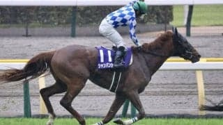 香港チャンピオンズデー 日本馬3頭が香港に到着…シャンパンカラーなど