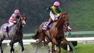 オーロラテソーロの競走馬登録抹消