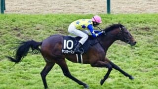 【青葉賞登録馬】シュガークンなど19頭