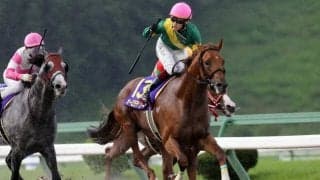 【先週のJRA抹消馬】ダート短距離路線で活躍のオーロラテソーロやレシプロケイトなど