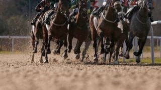 【羽田盃／馬連3点勝負】白毛馬アマンテビアンコは消し　少頭数でも混戦「3歳ダート三冠」初戦を斬る