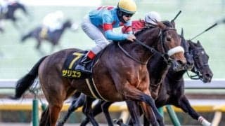 【天皇賞(春)展望】好走条件揃う牝馬のサリエラを狙いたい