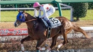 【ユニコーンS枠順確定】ミッキーファイトは2枠4番、ムルソーは6枠12番