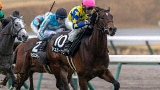 東京芝はスローなら前有利だが…広いコース歓迎のシュガークンを信頼