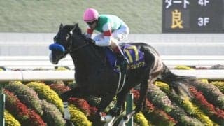 【天皇賞(春)・馬体重】ドゥレッツァは464kg(-8)、テーオーロイヤルは460kg(+2)