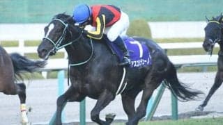 3歳マイル王決定戦・NHKマイルCなど3重賞/今週の競馬界の見どころ