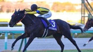 【NHKマイルカップ登録馬】ジャンタルマンタル、アスコリピチェーノなど27頭
