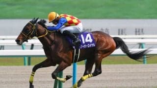 【天皇賞・春】「ロイ君ありがとう」優しく声をかける菱田騎手ジョッキーカメラ映像公開