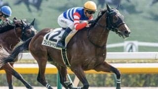 【京都新聞杯見どころ】スタミナ豊富なプレリュードシチーが最右翼