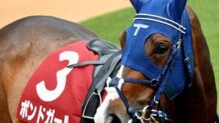武豊騎手ならではの“珍記録”更新へ ウマ娘・藤田晋オーナーにJRA・GI初勝利を届けるか