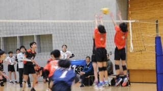 「バレーで社会を元気に!」第3回元気杯が開催 狛江二中が優勝
