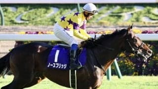 【海外競馬】プリンスオブウェールズステークスに日本馬が予備登録