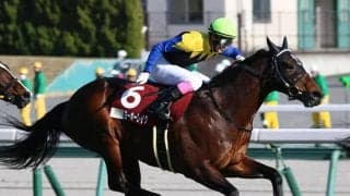 【新潟大賞典予想オッズ】ヨーホーレイクが予想1番人気