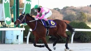 ケイアイパープル門別へ移籍