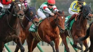 ナミュールの半妹がNHKマイルC挑戦 史上7組目の偉業にチャレンジ