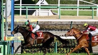 皐月賞2着コスモキュランダはデムーロ騎手とのコンビで日本ダービーへ 
