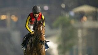 三冠牝馬リバティアイランド、右前種子骨靭帯炎症で秋まで休養