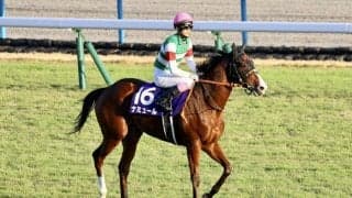 【ヴィクトリアM登録馬】ナミュールなど15頭