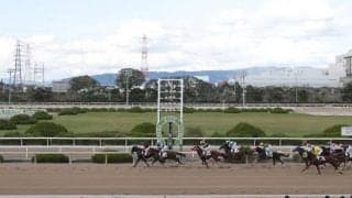 【園田・のじぎく賞結果】ニジイロハーピーが差し切って重賞3勝目を挙げる