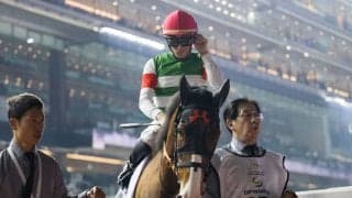 【ヴィクトリアM】出走馬の調教後の馬体重