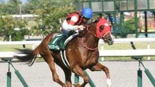 【京王杯SC予想】安田へのステップだが本番には直結しにくい 昇級馬より実績馬重視で