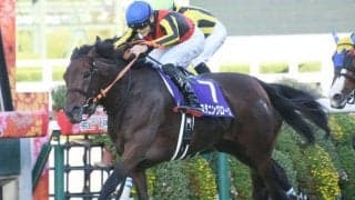 ヴィクトリアMはロスなく運べる馬が狙い目 好枠スタニングローズが抜け出す