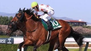 【平安S登録馬】ミッキーヌチバナなど18頭