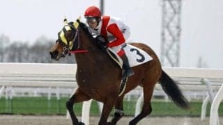 門別で新種牡馬限定の新馬戦 勝利したのはたった1頭の産駒