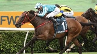 宝塚記念に外国馬が予備登録…ロマンチックウォリアーなど